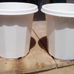 SMALL WHITE PLASTIC FLOWER POTS (PEGLO) - DELUXE.COM.NG