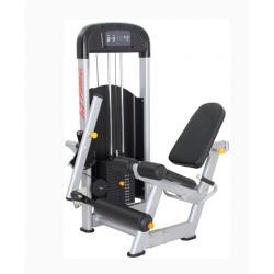 LITE FITNESS | F-A02 LEG EXTENSION - deluxe.com.ng