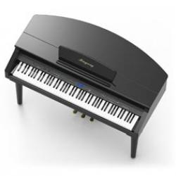 RingwayY Grand Digital Piano -- MGP150